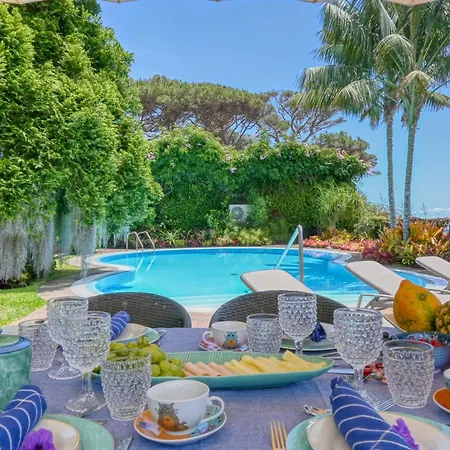 Casa Bromelias, A In Madeira Βίλα *