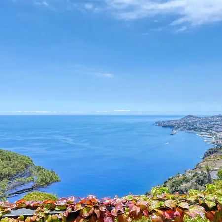Casa Bromelias, A In Madeira Вилла