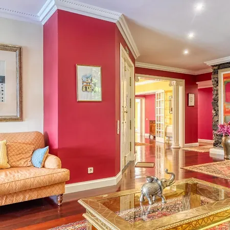 Casa Bromelias, A In Madeira *