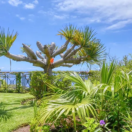 Casa Bromelias, A In Madeira