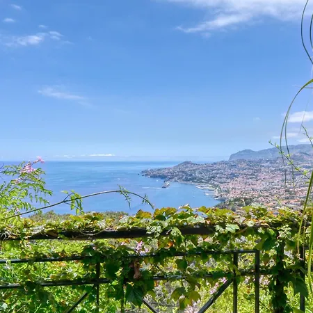 Casa Bromelias, A In Madeira Вилла