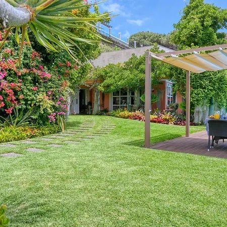 Casa Bromelias, A In Madeira * Фуншал