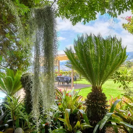 Casa Bromelias, A In Madeira Вилла Фуншал