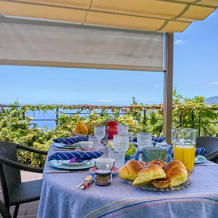 Casa Bromelias, A In Madeira Вилла Фуншал